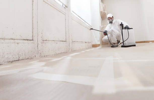 24/7 Emergency Crawl Space Mold Remediation experts in McLean, VA