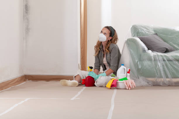 Reliable Crawl Space Mold Remediation contractor in McLean, VA by 24 Hour Mold Removal