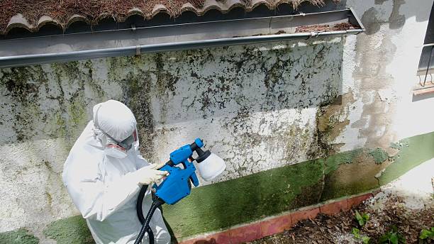 Top rated local Crawl Space Mold Remediation specialists in McLean, VA